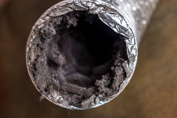 Best Residential Air Duct Cleaning  in Six Shooter Canyon, AZ